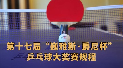  第十七屆“巍雅斯·爵尼杯”乒乓球大獎賽規(guī)程
